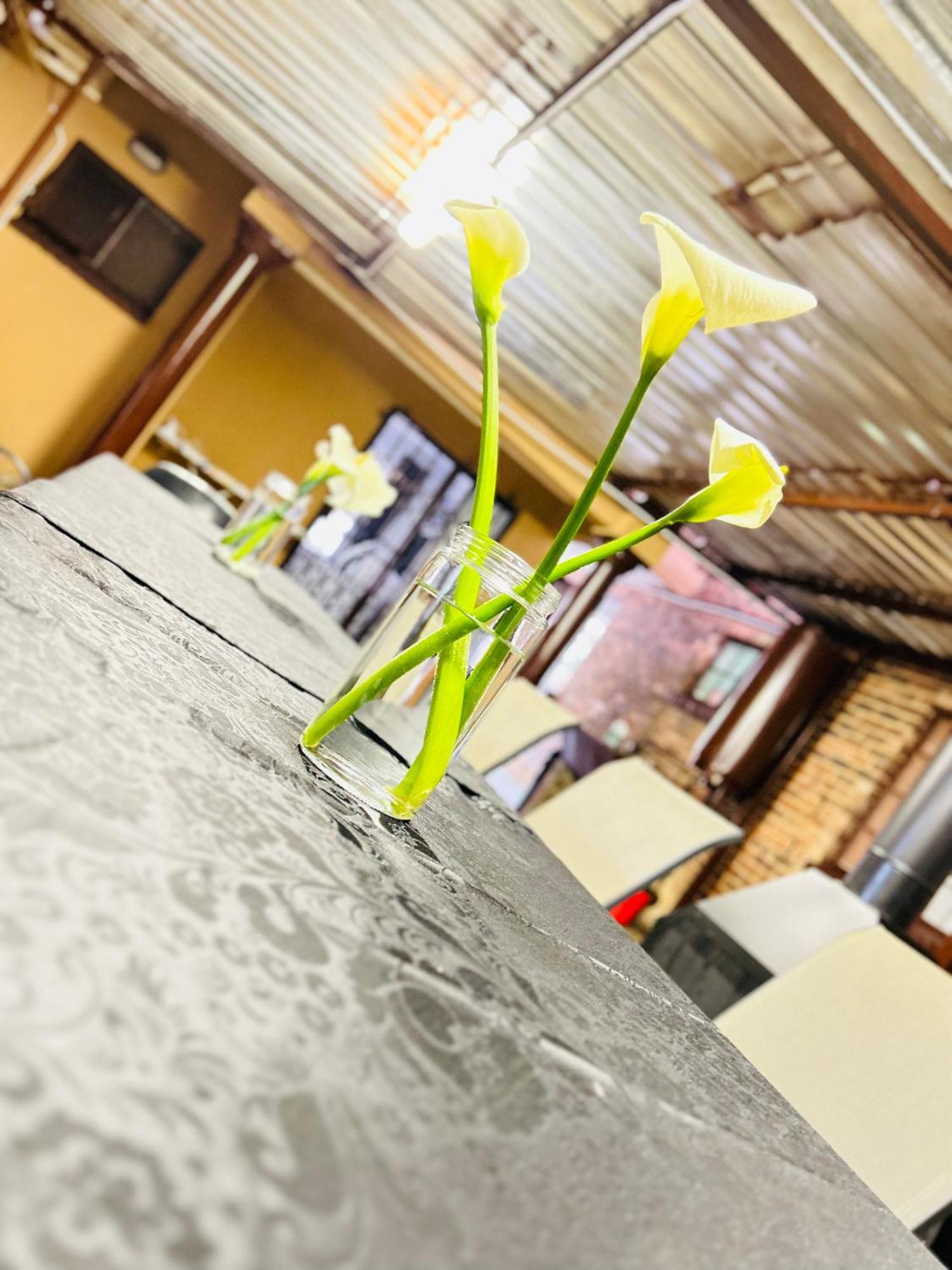 Duvha Guesthouse Graskop Zewnętrze zdjęcie